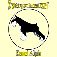 Цвергшнауцер